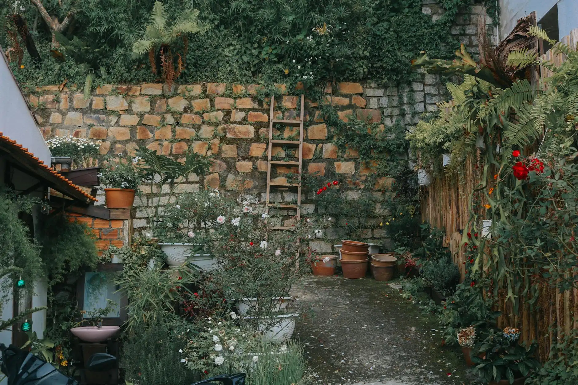 Alexander Bauer Portfolio 8